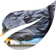 Services provided by Ansa