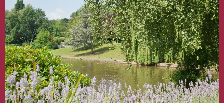 A beautiful park in Cheshire East