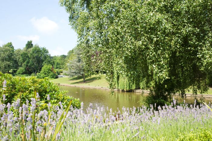 Queens Park, Crewe