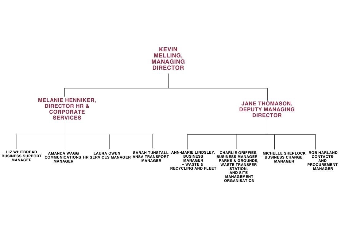 Ansa structure (1)